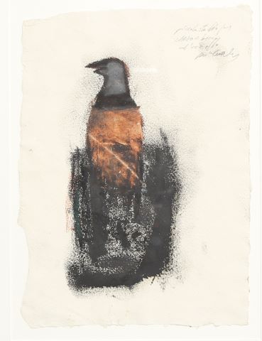 Piero Pizzi Canella (né en 1955) Piccolo studio