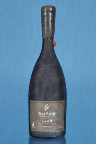 1 bouteille Vintage Premier Cru