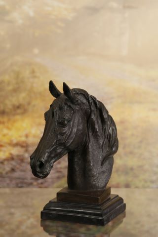 École du XXe siècle Tête de cheval