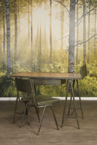 Bureau et sa chaise au modèle