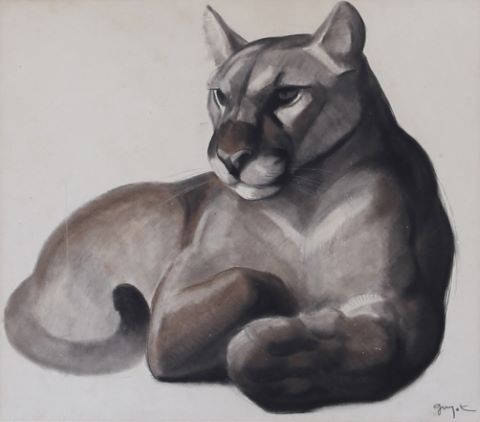 Puma couché