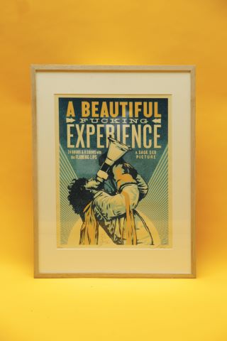 Shepard Fairey (né en 1970) A beautiful fucking...