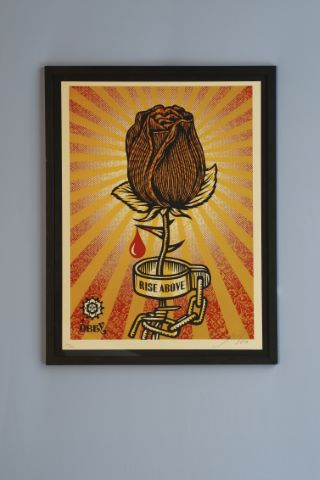 Shepard Fairey (né en 1970) Rose shackle