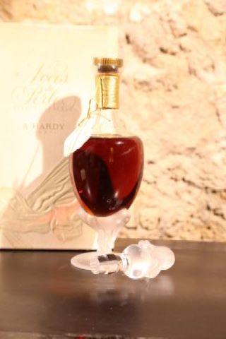 Cognac Hardy, 