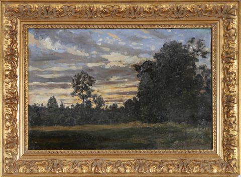 Paysage boisé au coucher du soleil