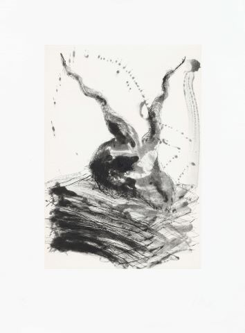 Miquel Barcelo (né en 1957)