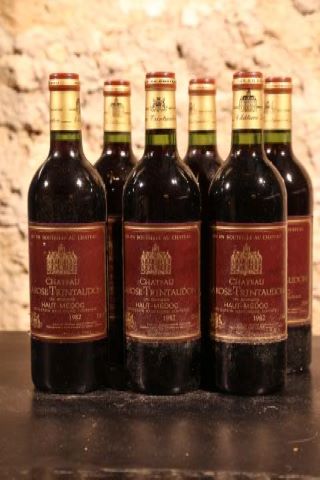 Château Larose Trintaudon, Haut-Médoc 6...