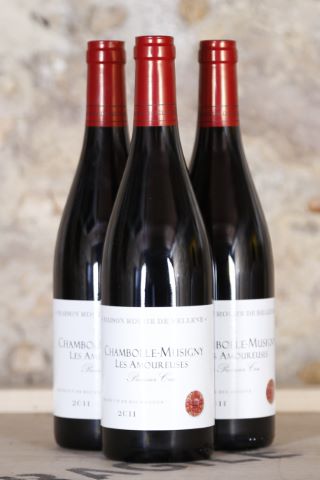 Chambolle Musigny Les Amoureuses, Nicolas Potel,...