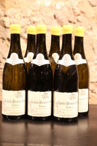 Chablis, 