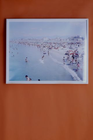 Viareggio Red Fins