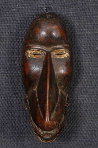 Masque oiseau