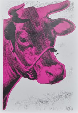 Cow