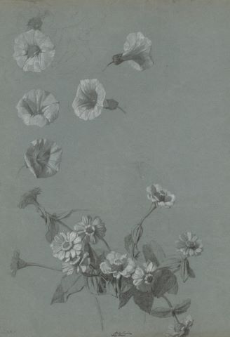 17 études