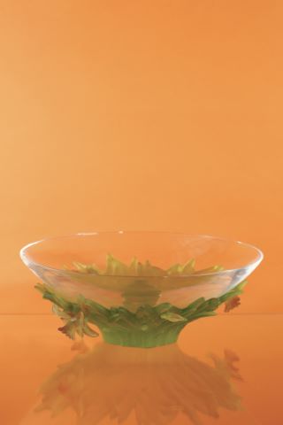 Grande coupe Jonquille