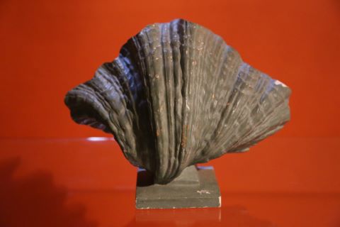 Attribué à Serge Roche Coquille