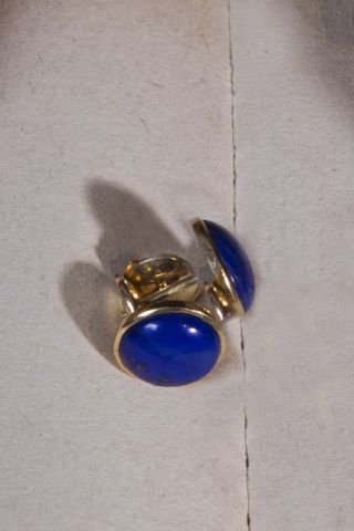 Paire de puces d’oreilles