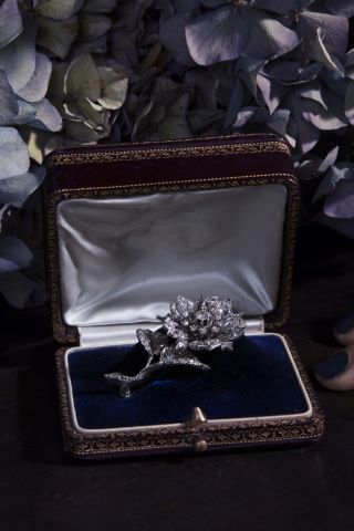Broche dite trembleuse