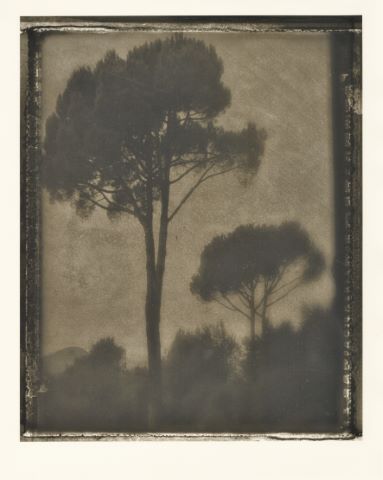Sarah Moon (née en 1941) Les Treilles