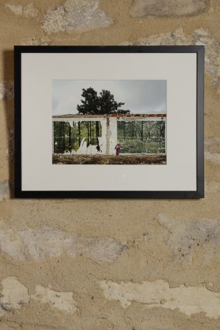 Jean-Philippe Mesguen (né en 1964) Reforestation