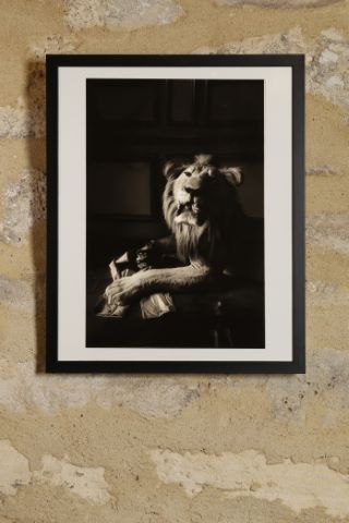 Nicolas Bruant (né en 1951) Voilà