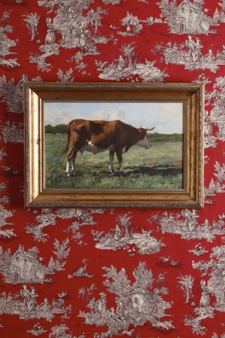 Vache dans un pré
