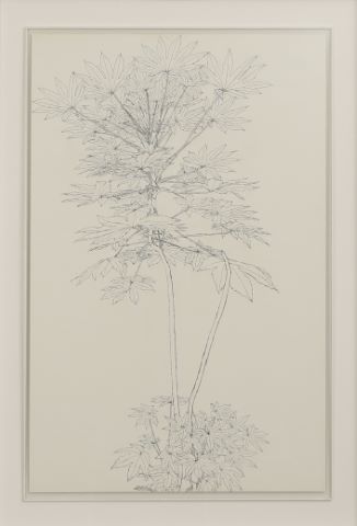 Feuillages