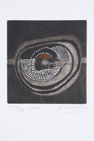 Vision