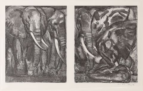 Troupeau d'éléphants, extrait du Livre des bêtes qu'on appelle sauvages