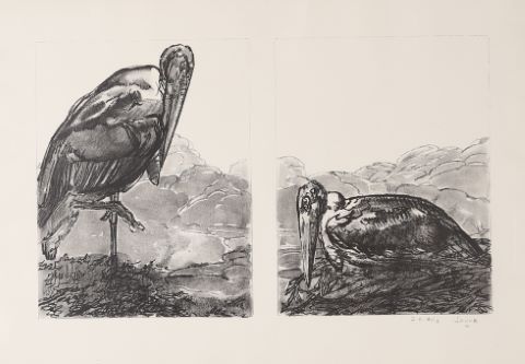 D'après Paul Jouve (1878-1973) Deux pélicans,...