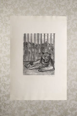 Tigre en cage, couverture du Livre des bêtes qu'on appelle…
