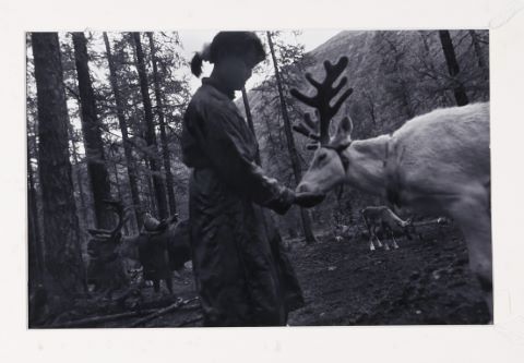 Julia Calfee Jeune fille au renne