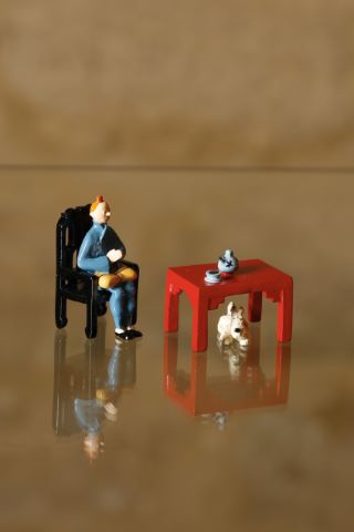 Hergé - Le Lotus Bleu