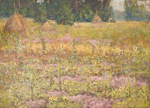 Paysage