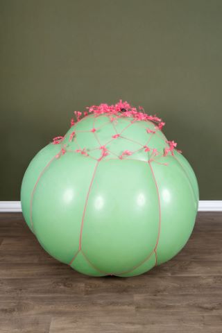 Green balloon & pink net