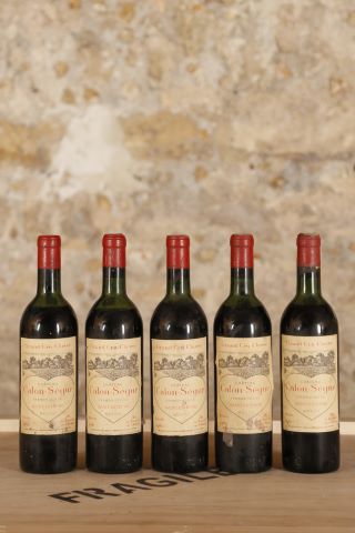 5 bouteilles 1961