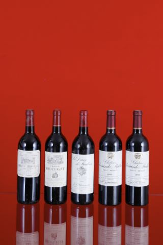 Ensemble comprenant 5 bouteilles :