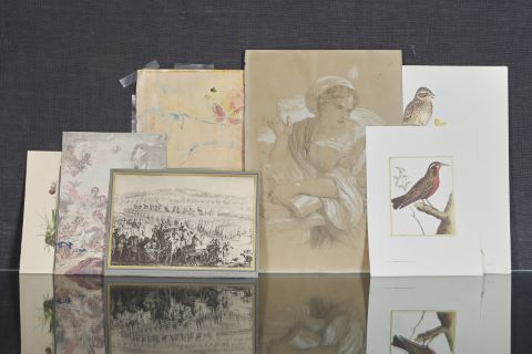 Important ensemble de gravures, dessins et aquarelles à thématique florale