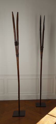 Paire d'instruments araires