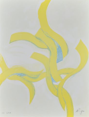 Susumu Shingu (né en 1937)