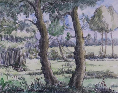 Paysage de forêt