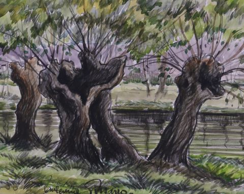 Paysage à la rivière