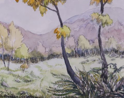 Paysage de sous-bois