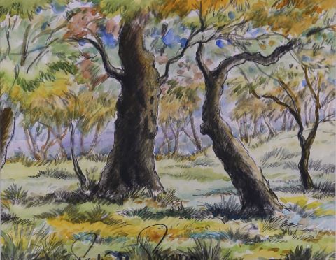 Paysage de forêt