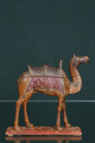 Moghol Chameau
