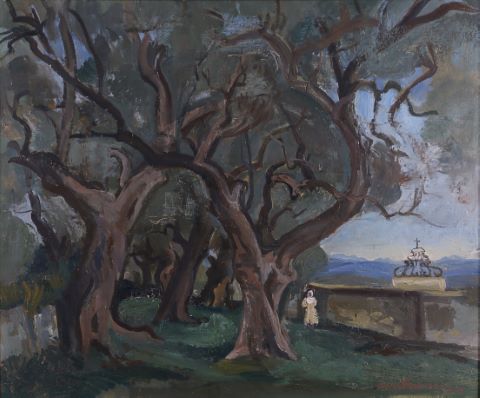 Les oliviers à Saint Paul de Vence