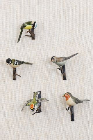 Ensemble de 5 oiseaux