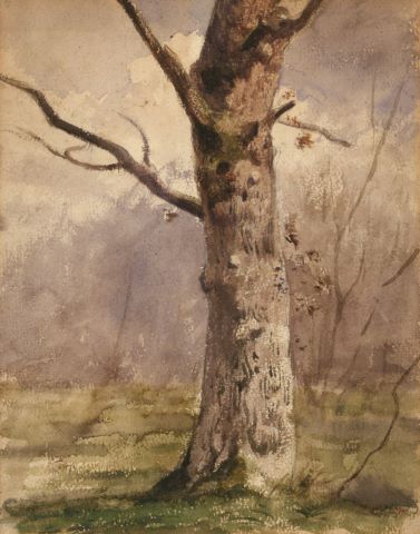 L’Arbre