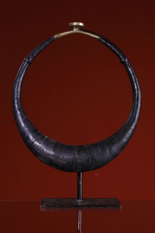 Pectoral