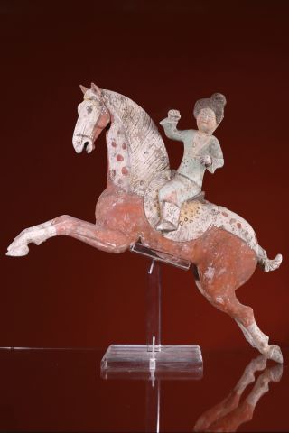 Grande joueuse de polo