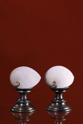 Deux argonautes